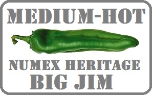 MEDIUM W BORDER STENCIL